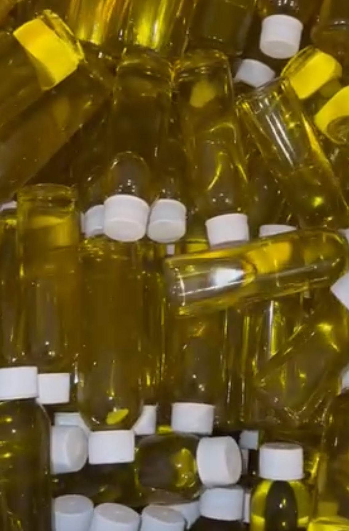 Wholesale ( 25 4oz Bottles NO LABELS )